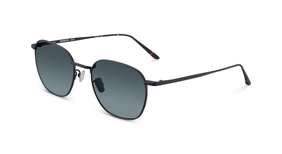 Etnia Barcelona Vintage REGENCOS Sunglasses - view 12